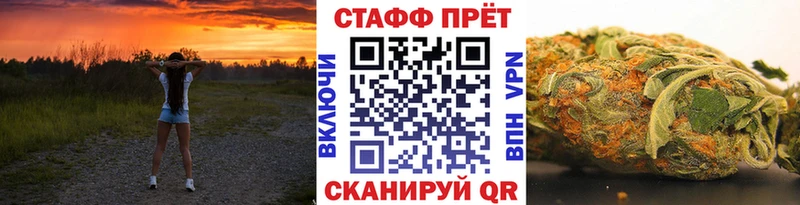Псилоцибиновые грибы Белокуриха