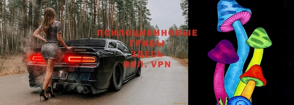 2c-b Белокуриха
