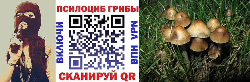 где купить наркотик  Белокуриха  Псилоцибиновые грибы ЛСД 